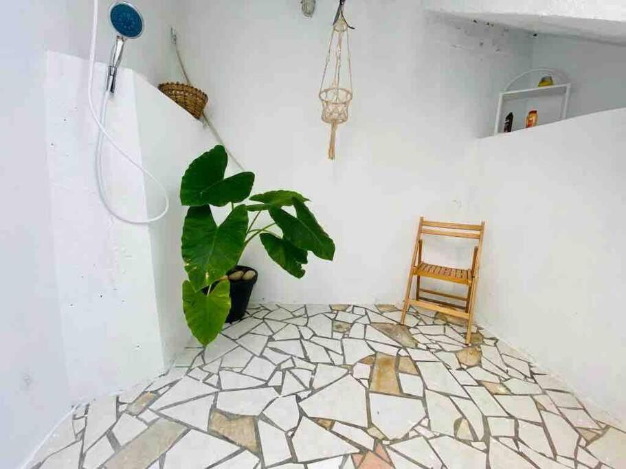 Apartmán Habitation Nala Proche Bourg Terre-De-Haut Exteriér fotografie